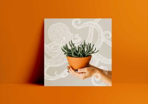 illustration-pieuvre-photomontage